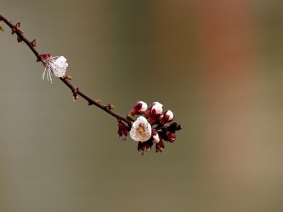 三句话教你结束冷战