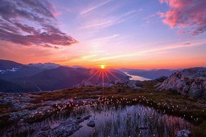 小草地扯一二免费观看